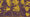 What is Agroecology