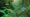 dClimate and Democratic Republic of Congo Collaborate to Strengthen Carbon Registry