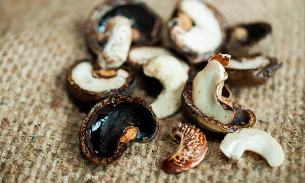 4 East Bali Cashews_social enterprise 4 East Bali Cashews_social enterprise