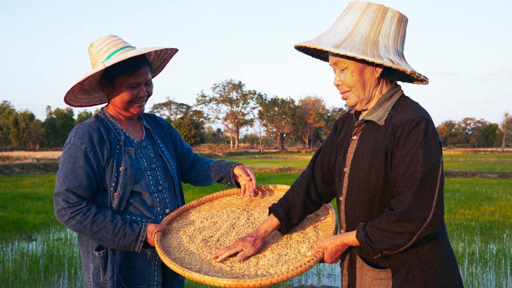 Siam Organic_socialenterprise Siam Organic_socialenterprise