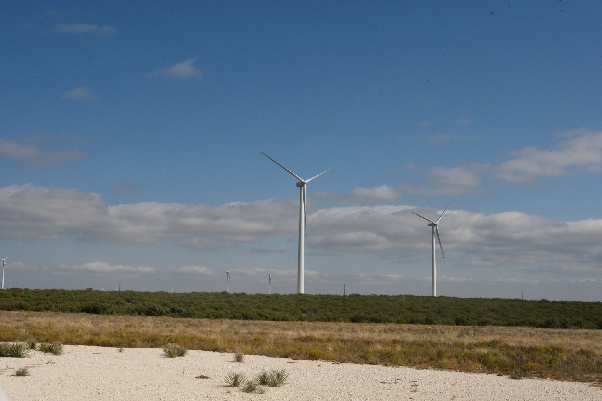 Vector Global Celebrates Earth Month by Offsetting One Metric Tonne of Carbon Through Podcast Streams