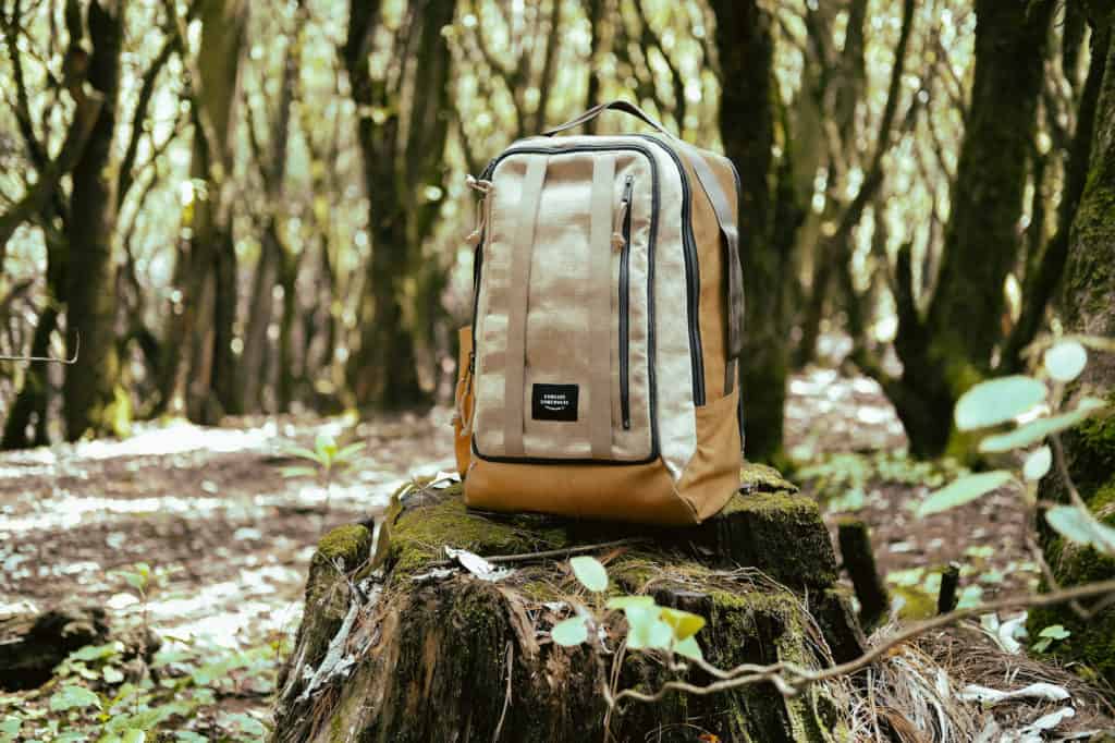 Someone Somewhere Backpack