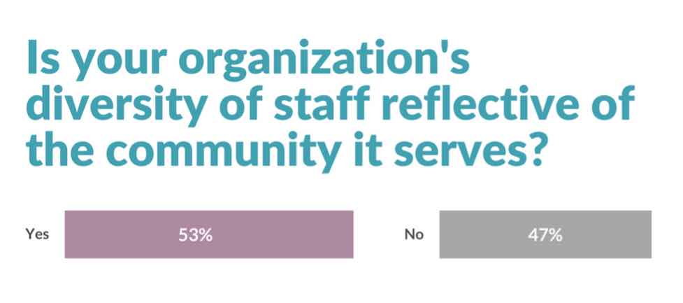 2020 Nonprofit Diversity Practices Survey findings