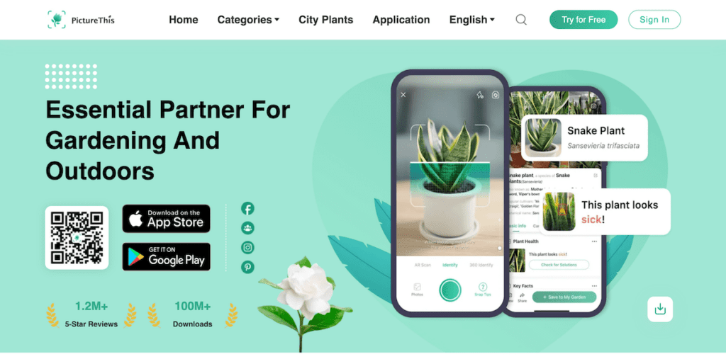 PictureThis - Plant Identifier - Best Plant Identification