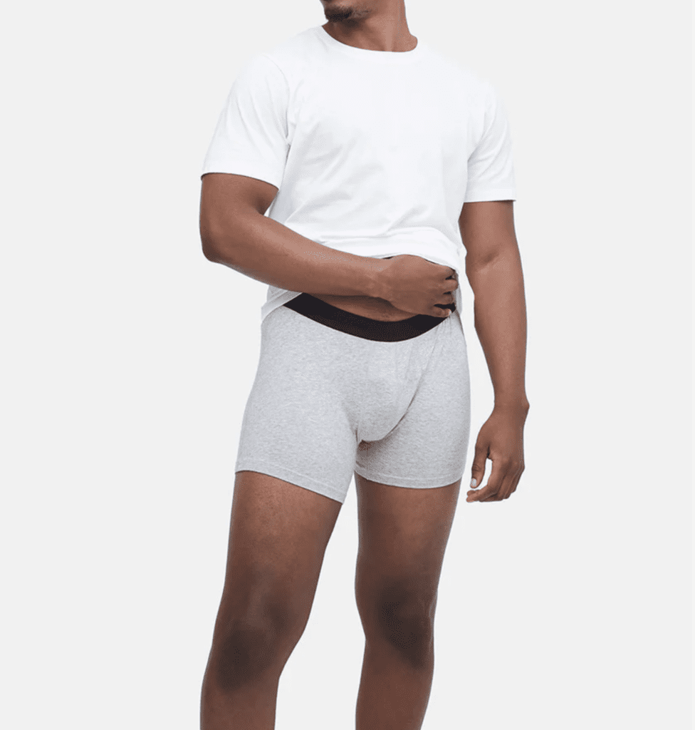 tentree ethical underwear for men