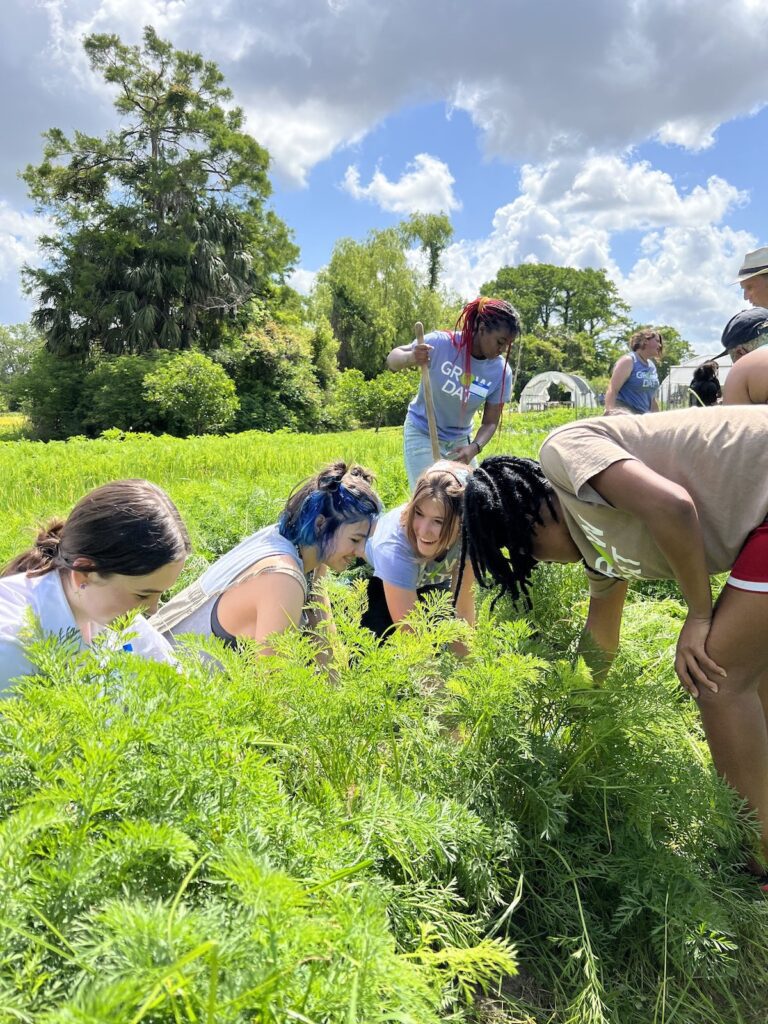 Grow Dat Youth Farm