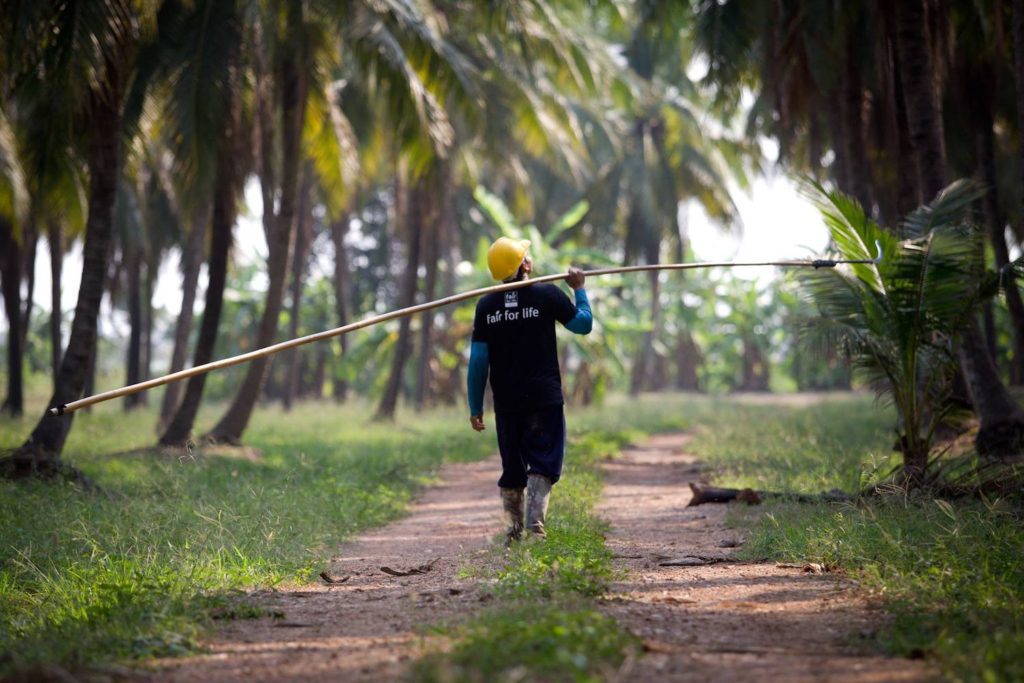 Harmless Harvest ethical supply chain
