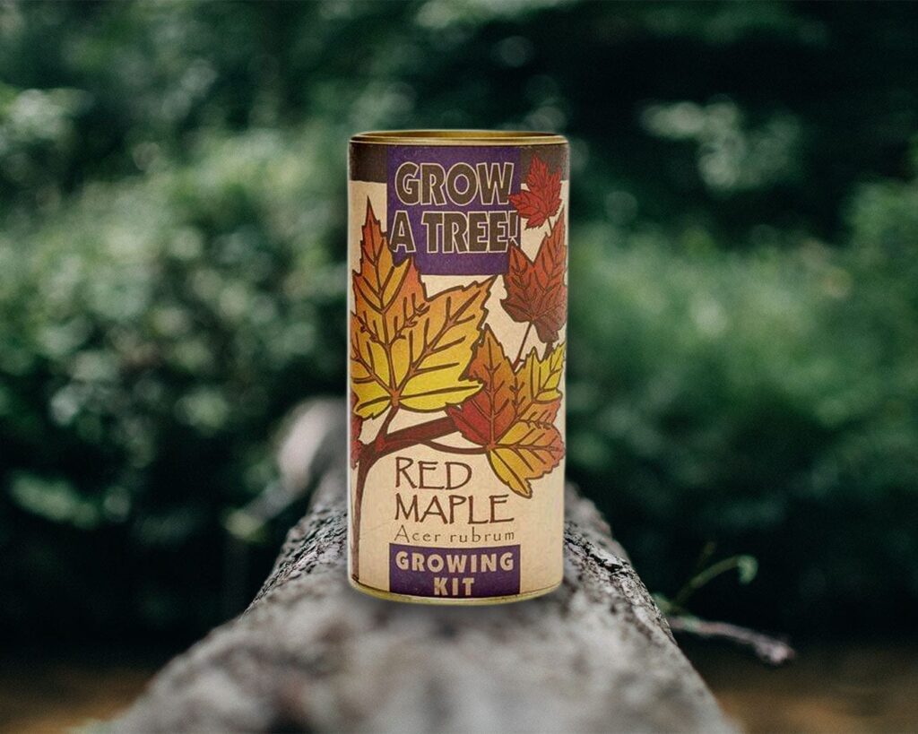 Plant A Tree Kit from One Tree Planted