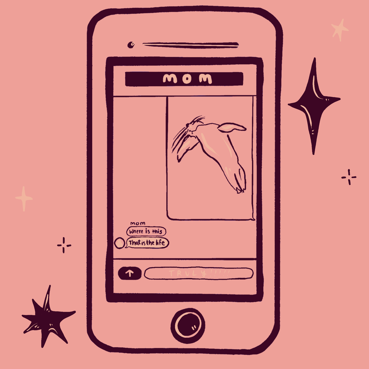 pov, you're watching people watch sea lions