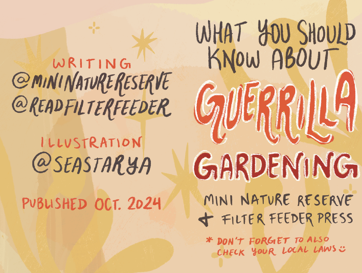 what you should know about guerrilla gardening