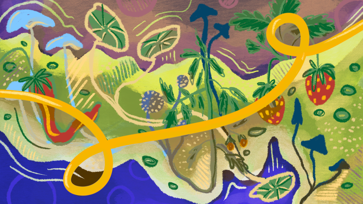 the beginner’s guide to resetting a Los Angeles balcony garden