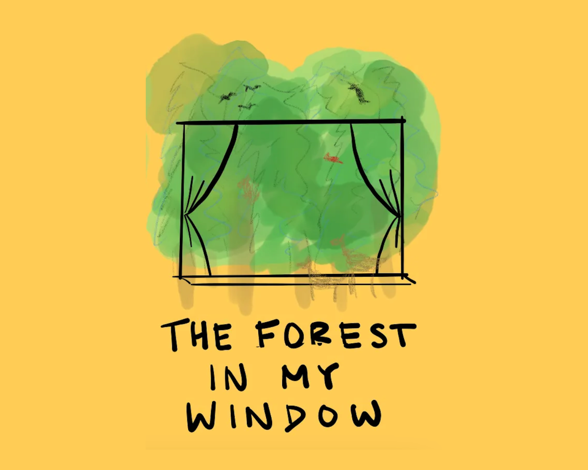 the forest in my window