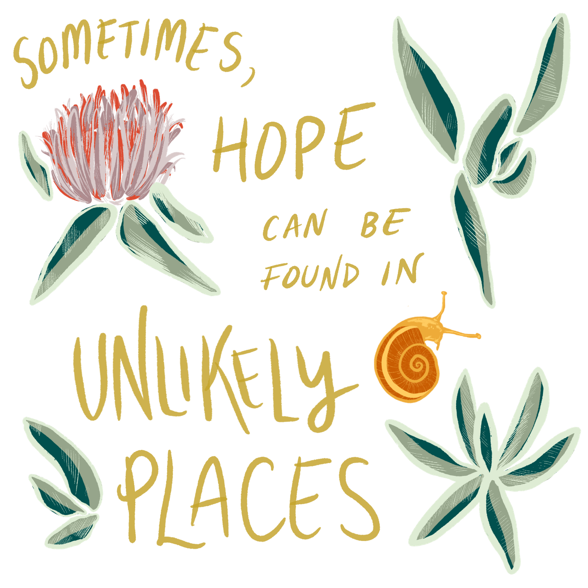 hope in unlikely places