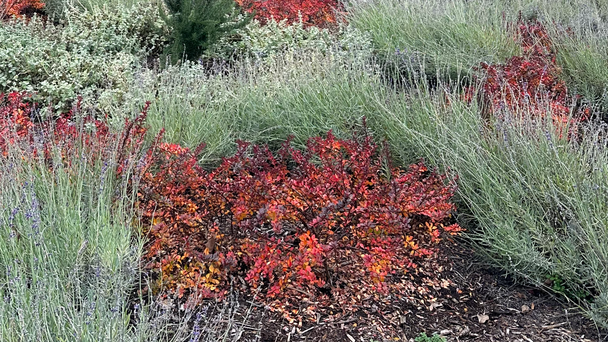 Filter Feeder’s entering a new chapter (again)