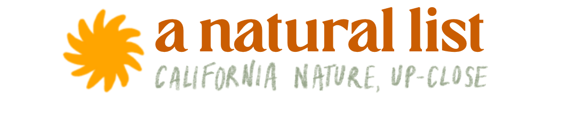 coastal sagebrush (a natural list, no. 2)