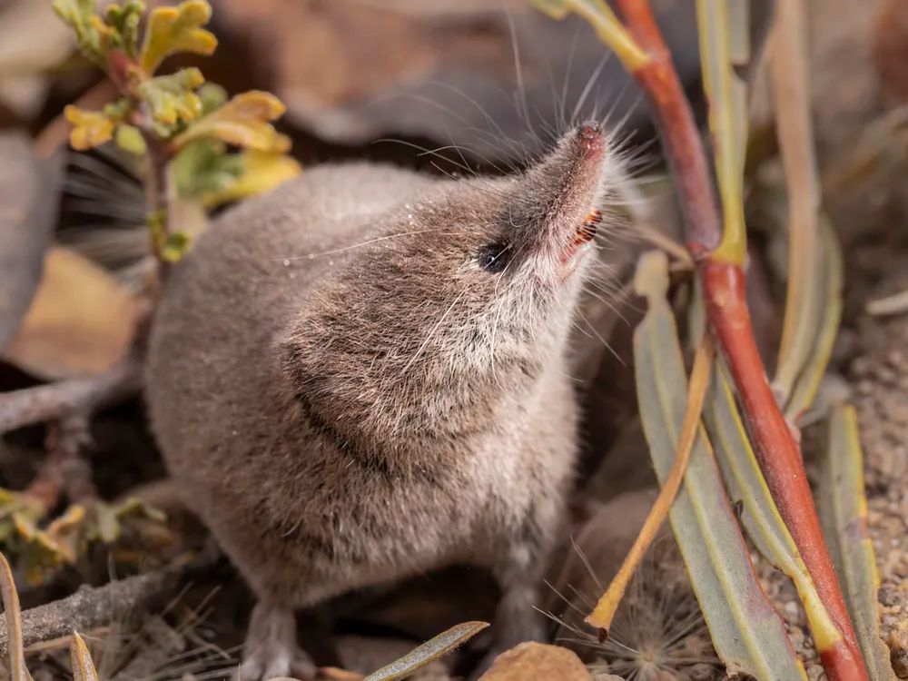 there’s always a story in your backyard