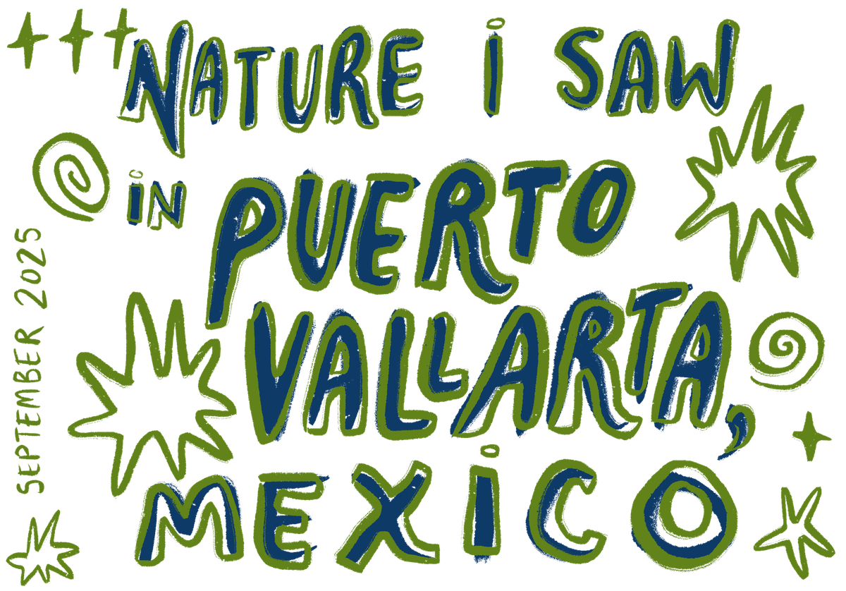 nature i saw in puerto vallarta, mexico