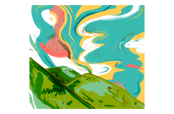 nature, art, & community-focused efforts supporting los angeles through the wildfires