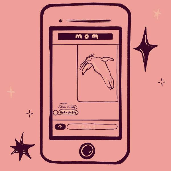 pov, you're watching people watch sea lions