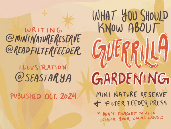 what you should know about guerrilla gardening