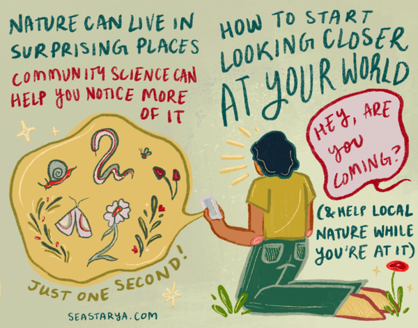 spend some time in nature this week