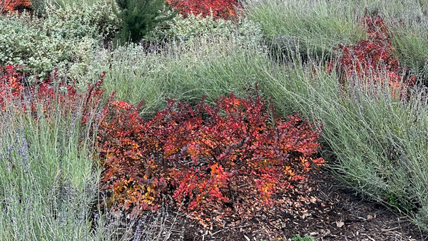 Filter Feeder’s entering a new chapter (again)