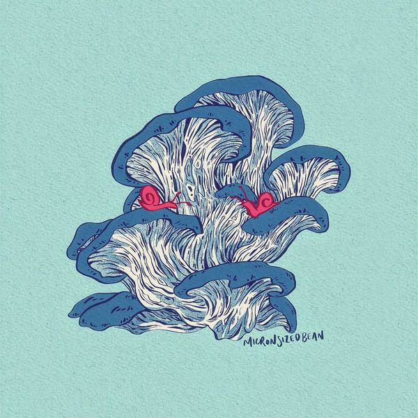 science is a creative field, too