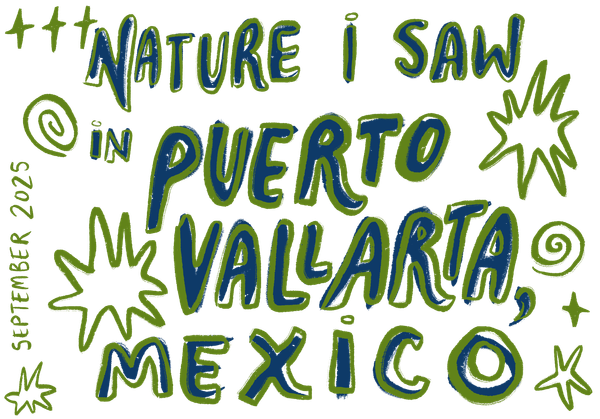 nature i saw in puerto vallarta, mexico