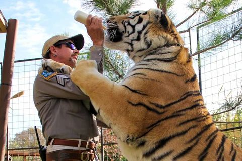 Going viral with TIGER KING in the age of going viral