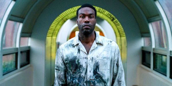 We contemplate CANDYMAN and two rumpled lions in today's review round-up