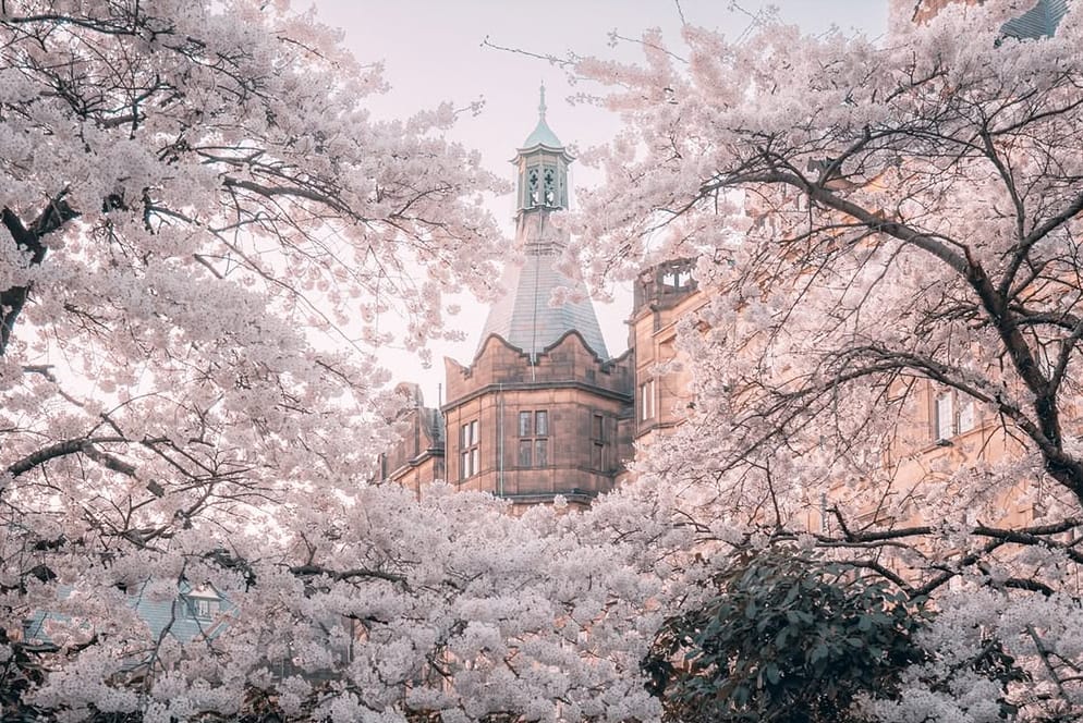 A blue corridor in the heart of the city