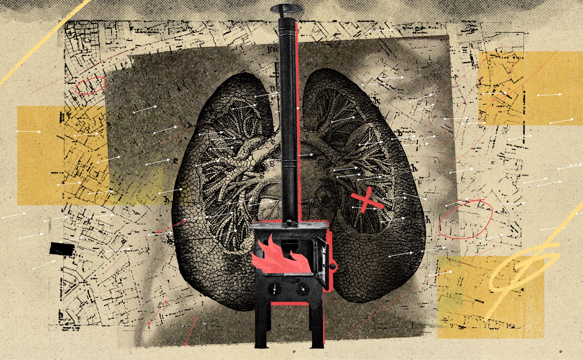 Burning injustice: are west Sheffield's wood burners polluting east Sheffield's air?