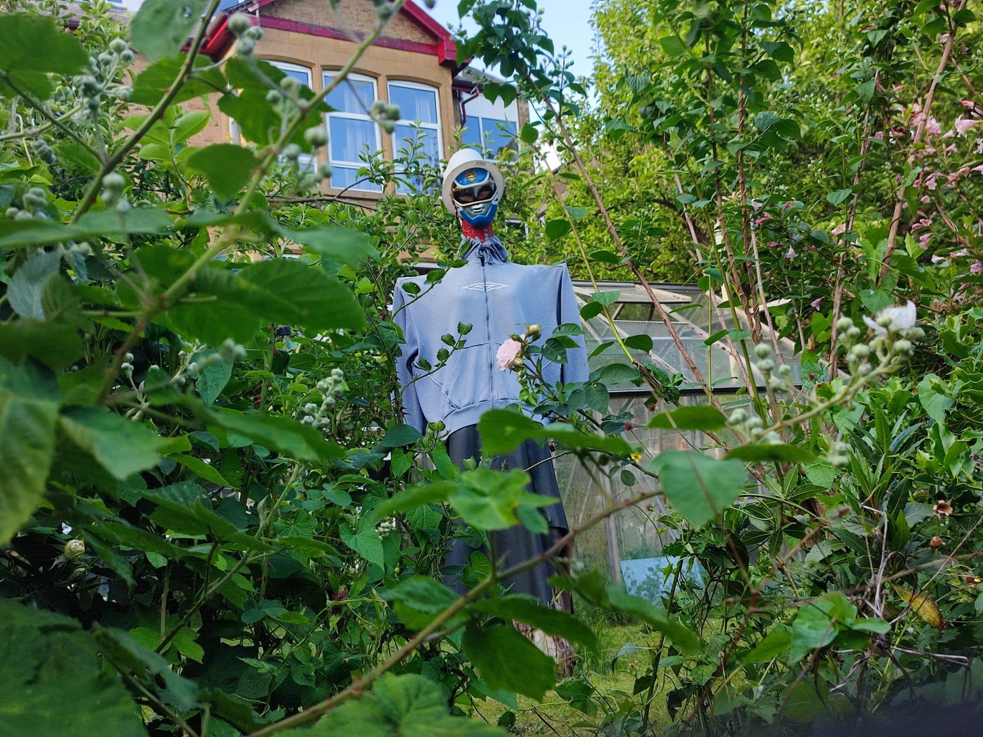 Flags, falafel, and frozen litter