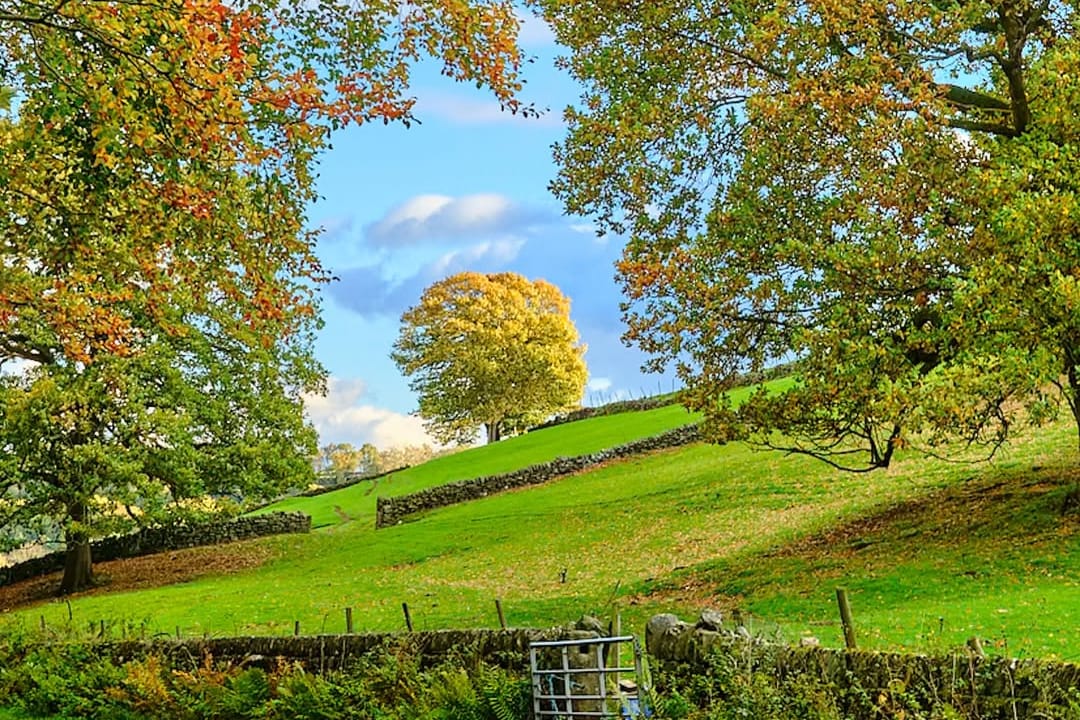 What next for Wednesday?