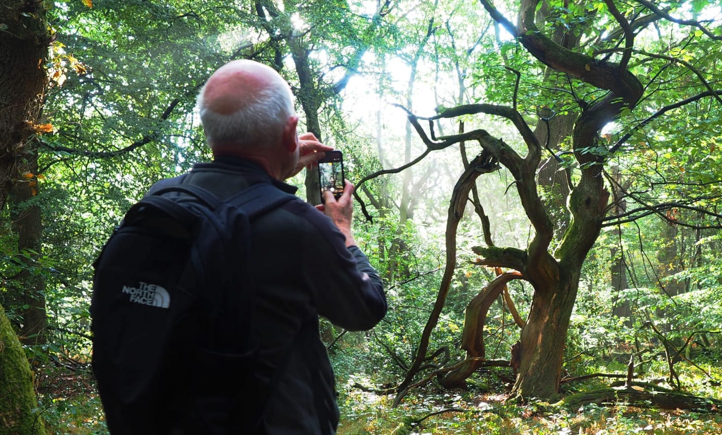 The century-old no man’s land in Ecclesall Woods