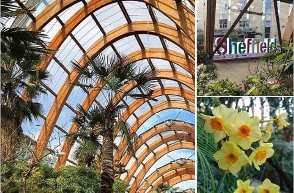 Sheffield opens up: here's what you need to know