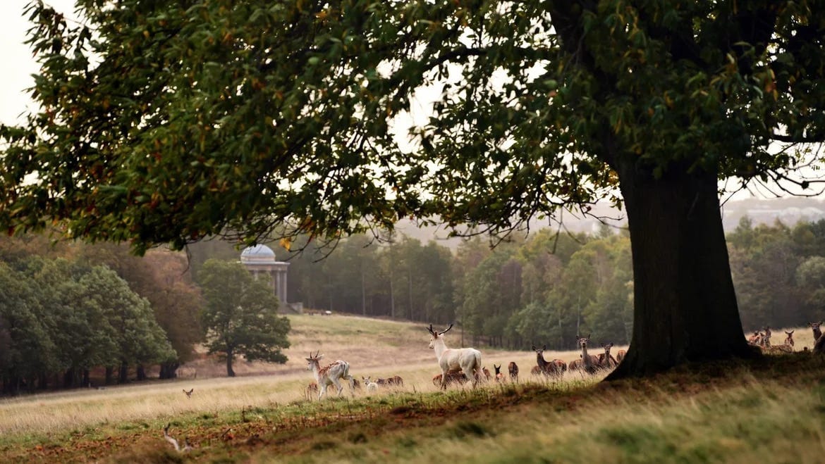 What you’ve missed on The Tribune