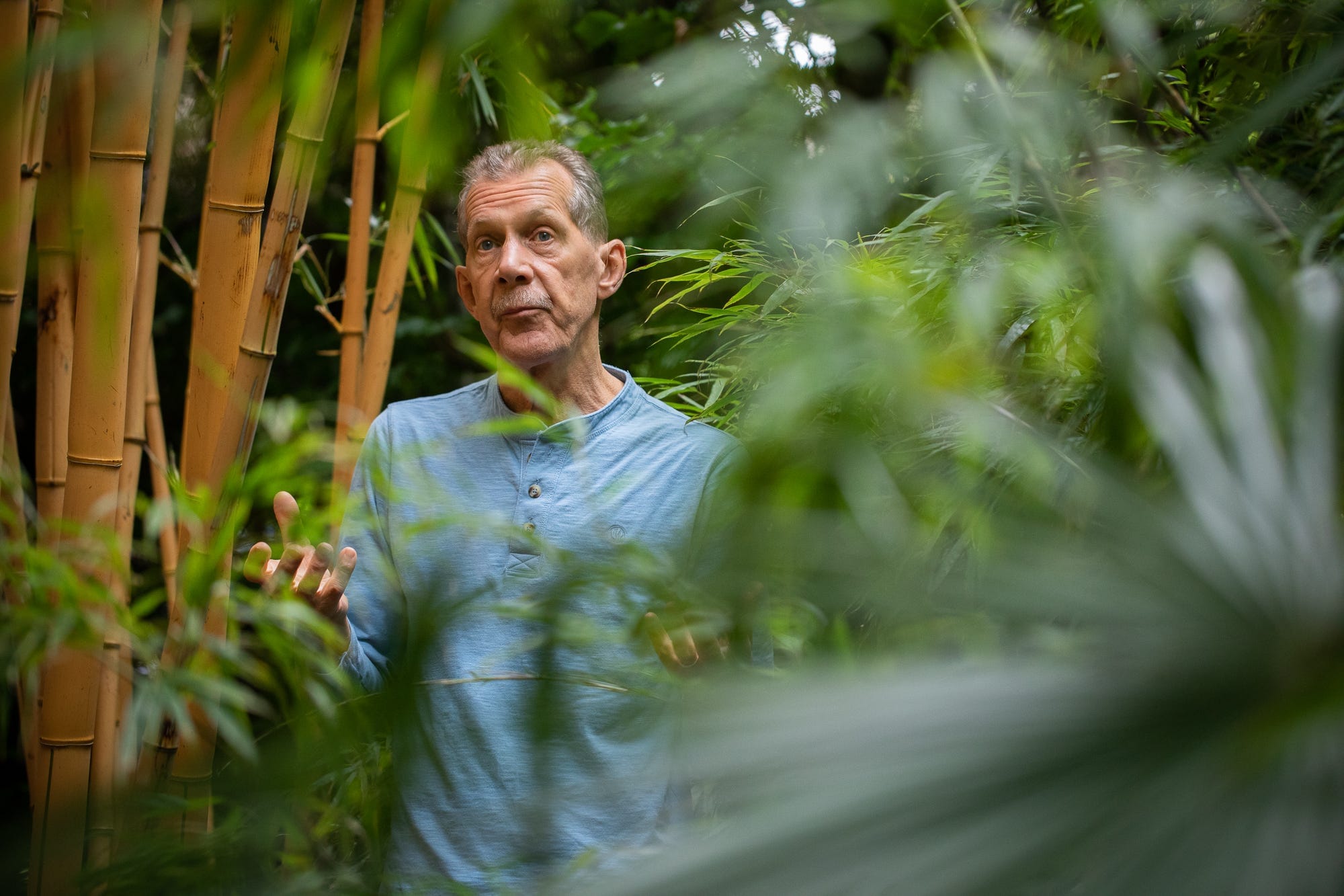 The jungle garden of Millhouses