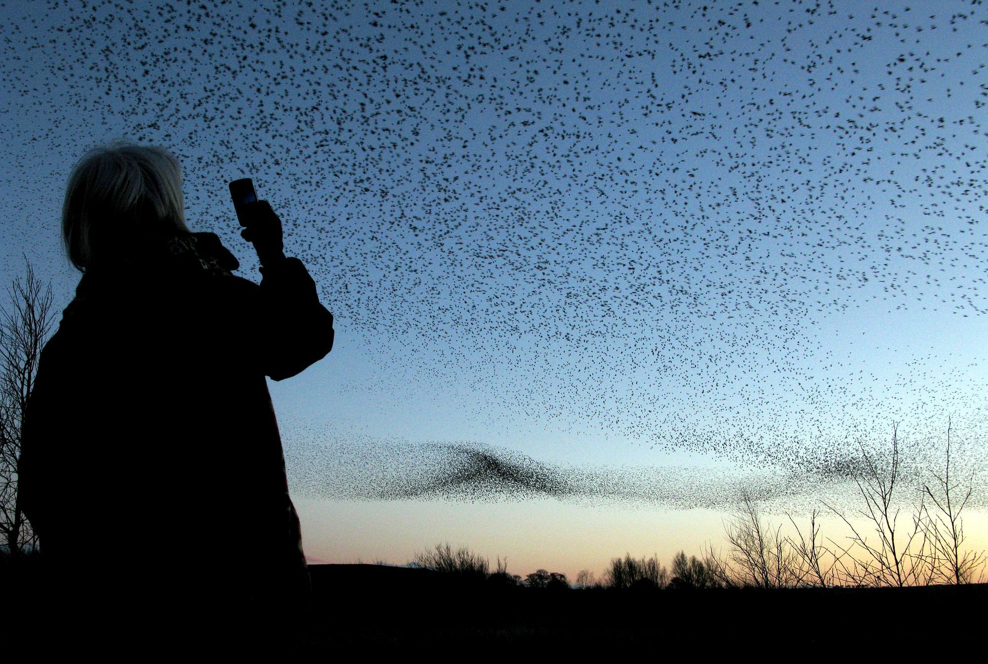 ‘We should see abundance everywhere’