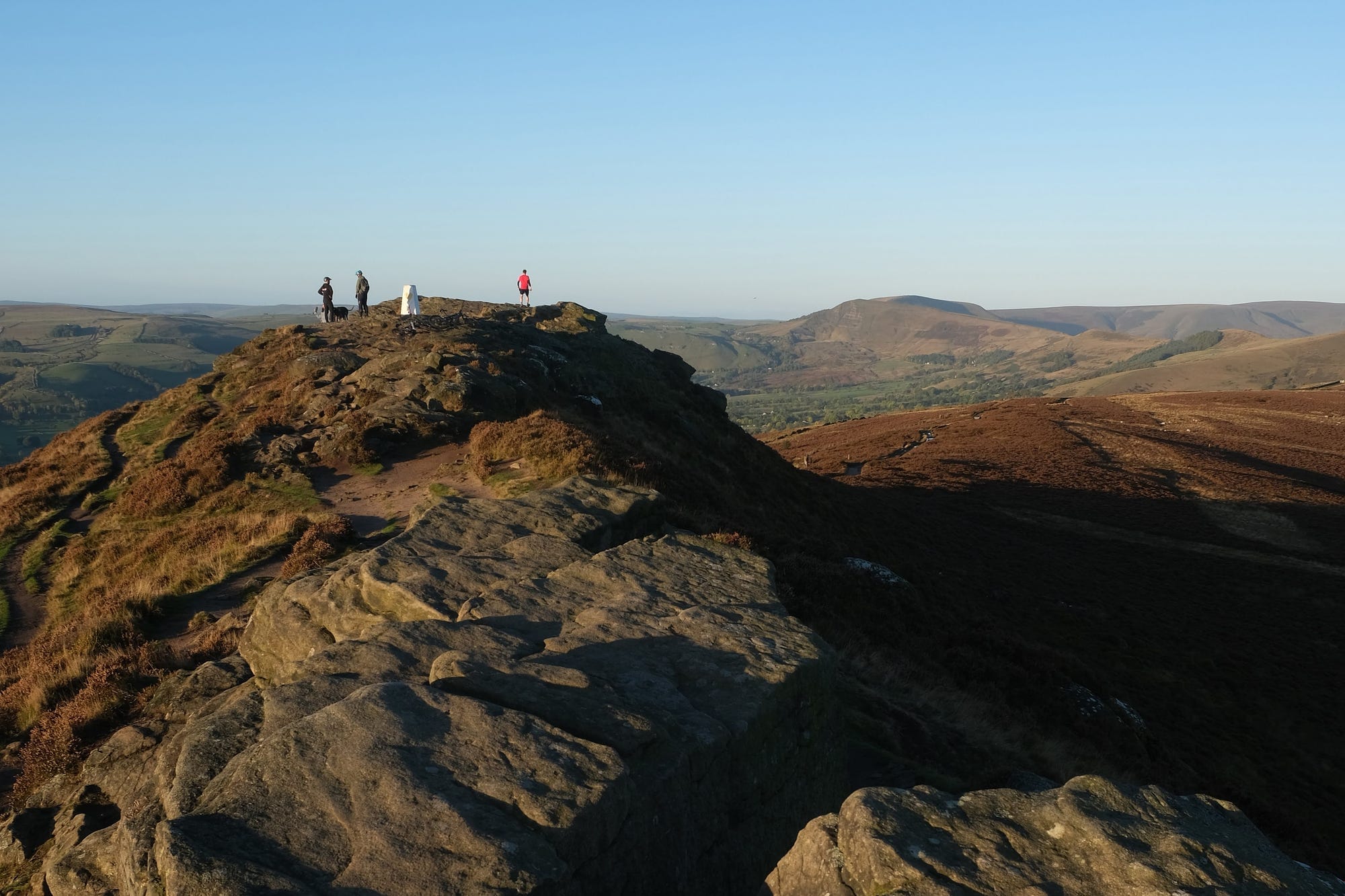 ‘Destroying the environment so birds can get shot by toffs’