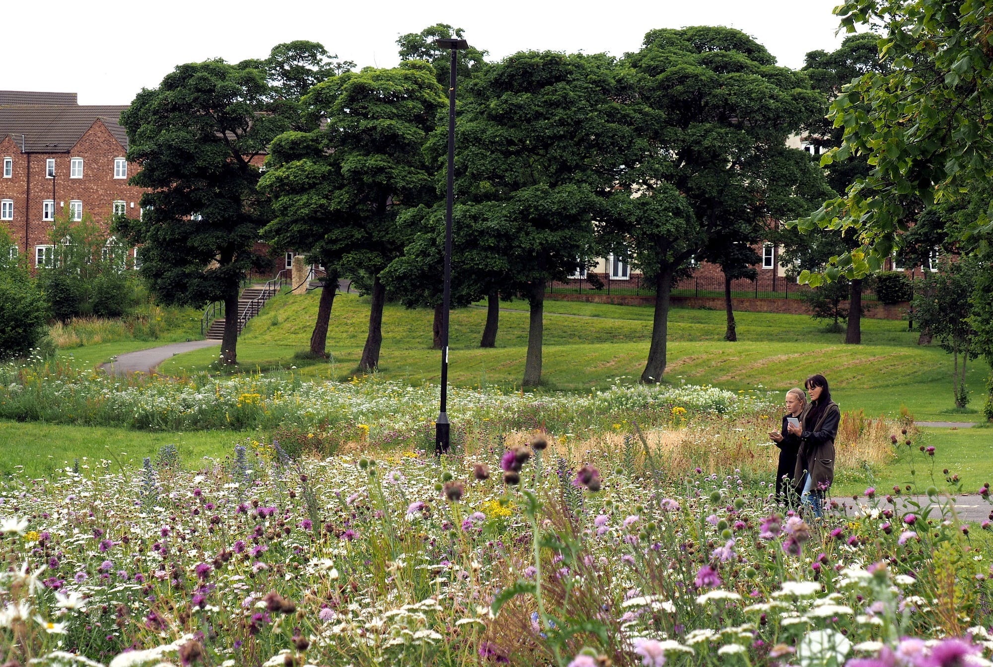 From 130 burnt out cars to Sheffield's best public park