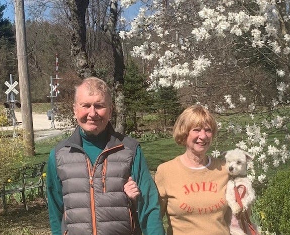 Wolves and wilderness: a Sheffield you’ve never seen before