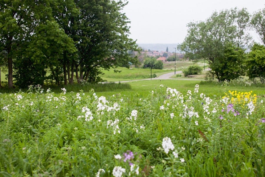 'They want to make us look like the lowest of the low'