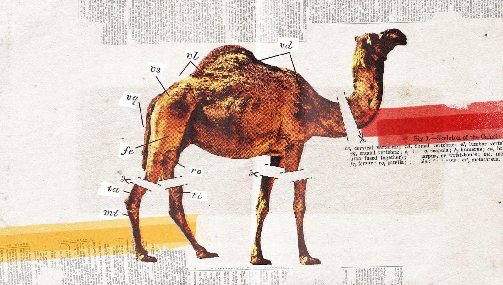 Is Sheffield’s mini-museum a massive fiasco?