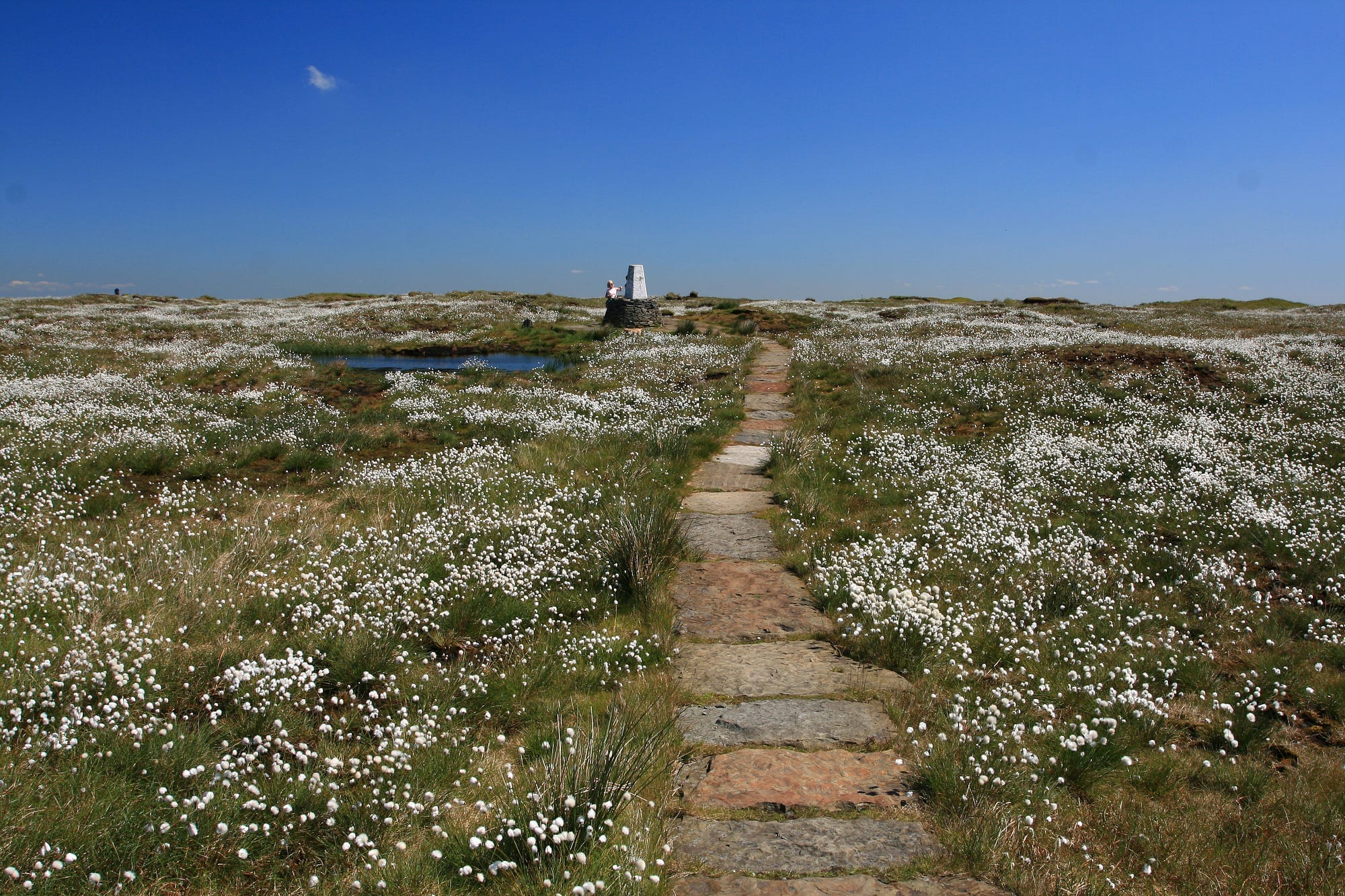 Bringing back spring to Kinder Scout