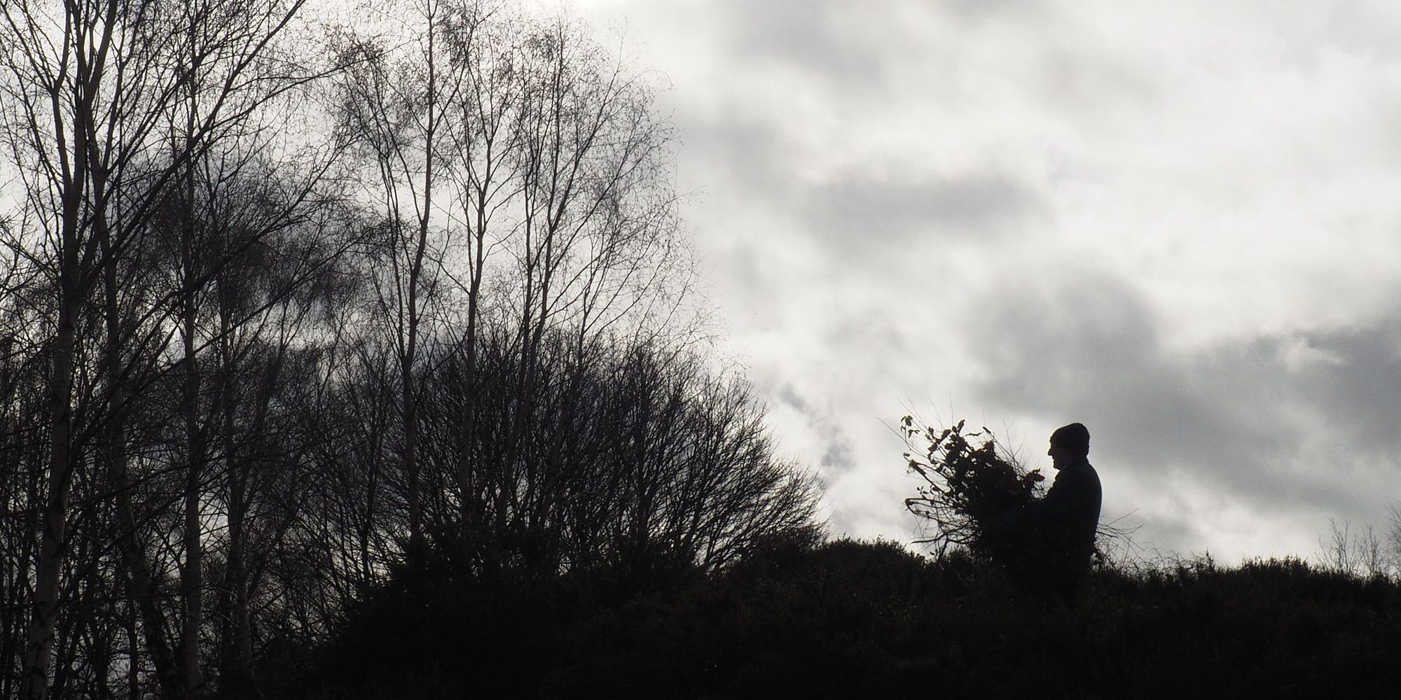 Parks and Remuneration