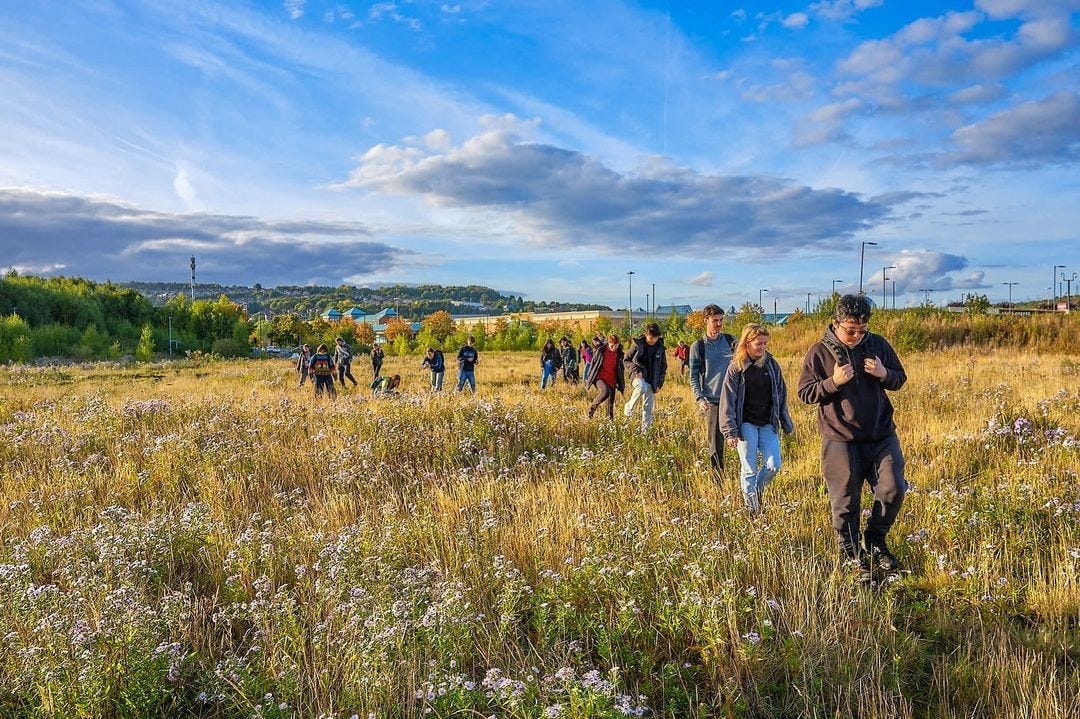 On Sheffield’s former steel sites, future nature thrives