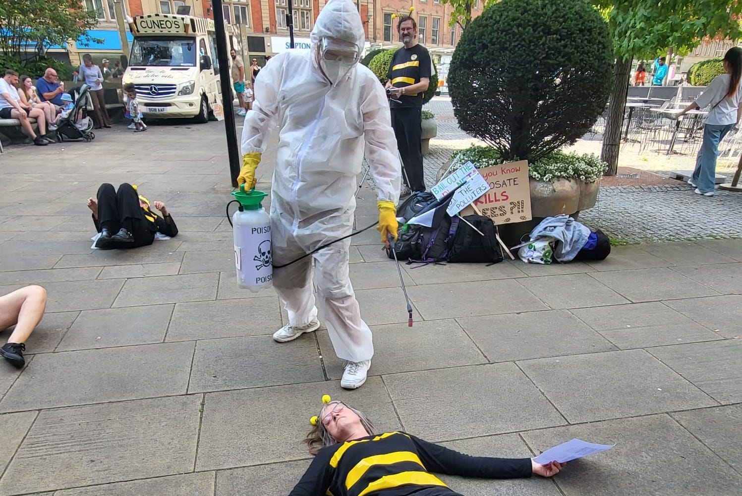 Sheffield’s bee-felling scandal