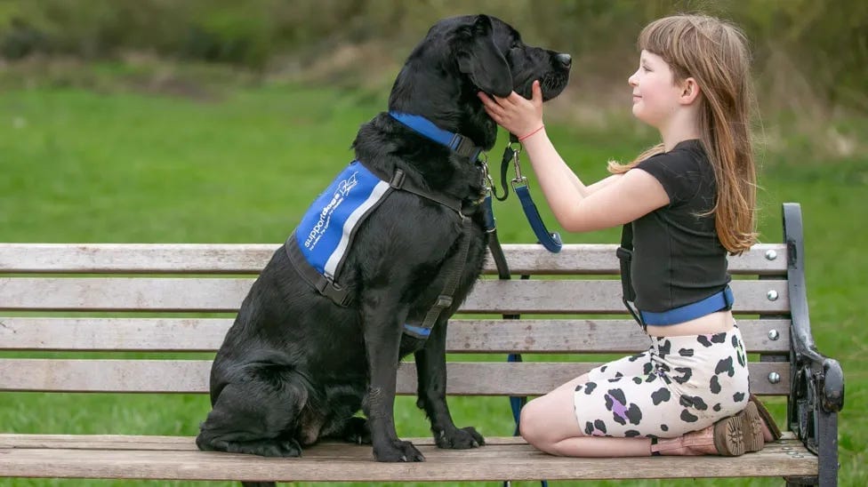 Hillsborough warehouse goes to the (support) dogs