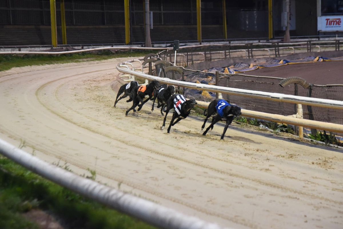 Is Owlerton going to the dogs?